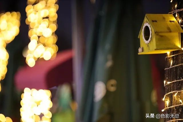 佳能85mm1.2rf对比柔焦版,佳能rf24-105mmf2.8镜头评测