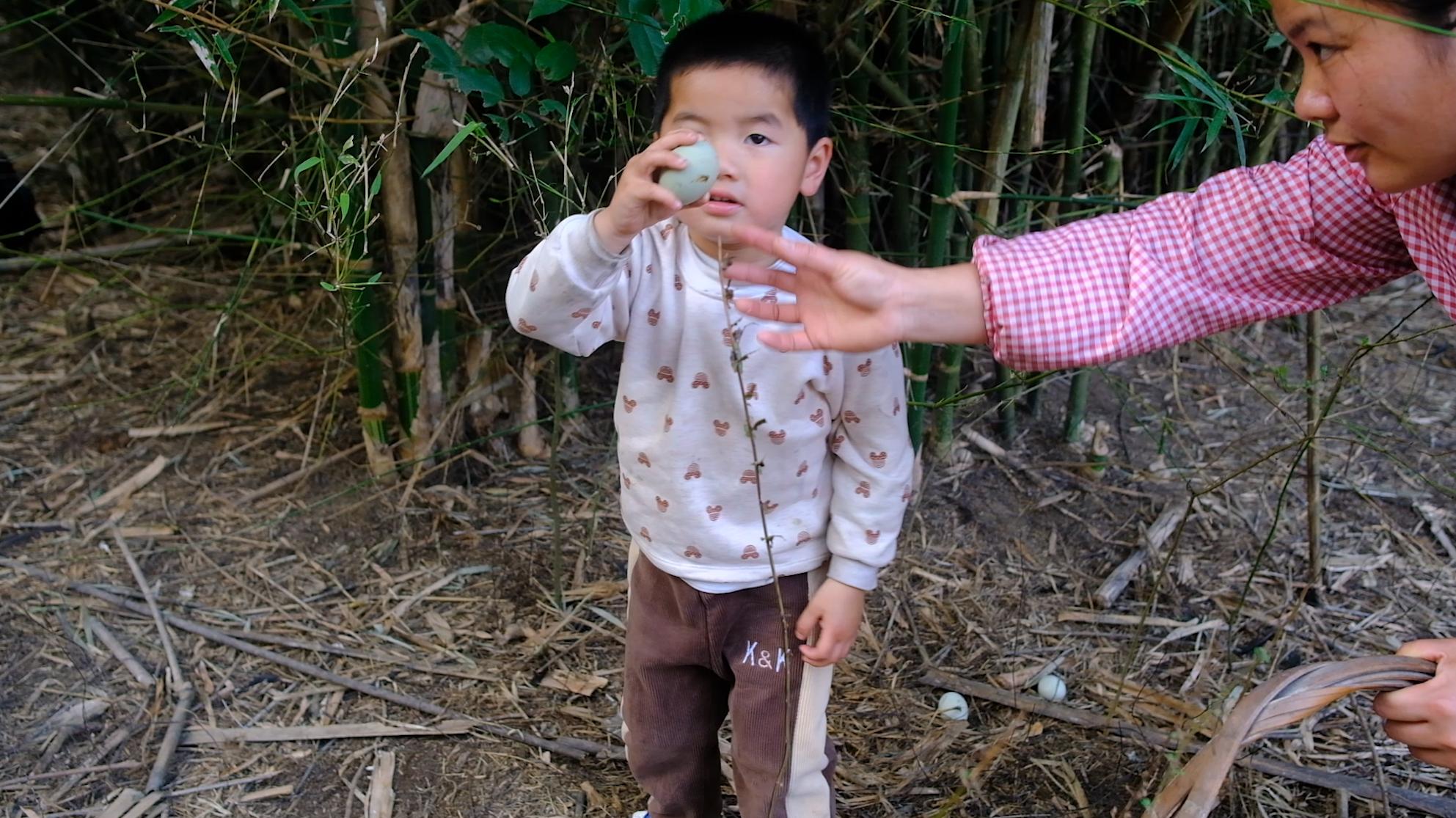 全身皮毛都是黑色的,长得像鸟一样的鸡,一年能卖8000多只