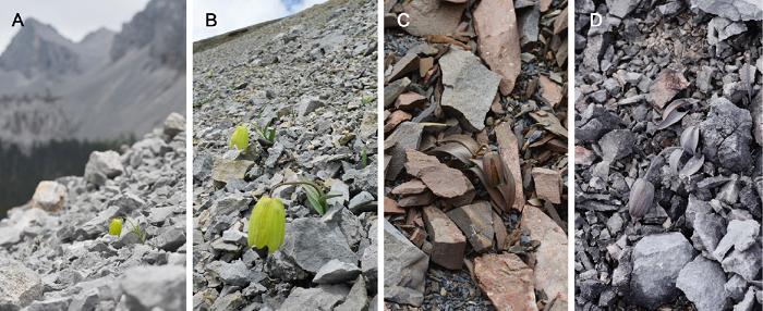 号召网友一起来玩“找茬游戏”，研究结果发了篇顶级论文