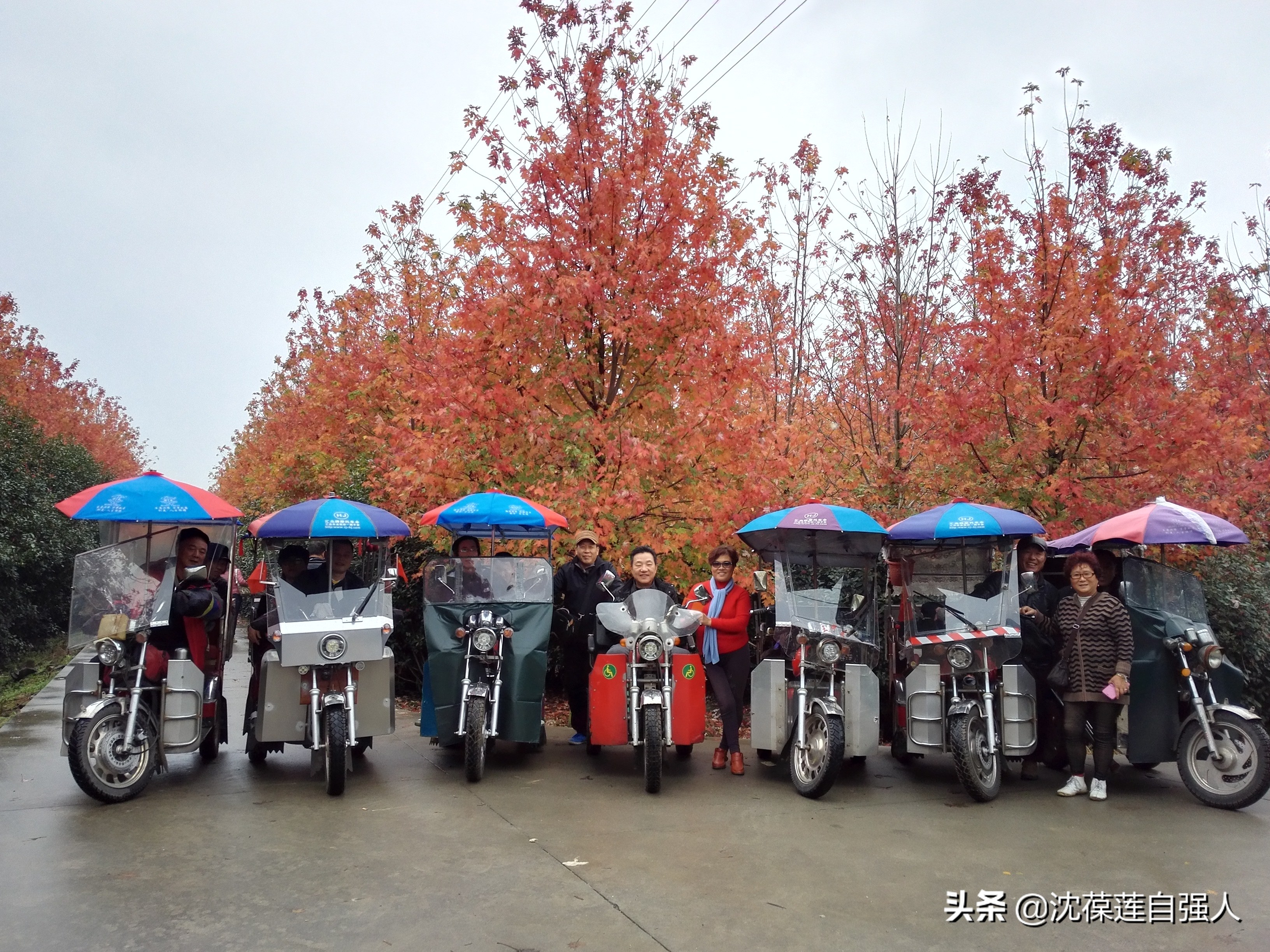 残疾人旅游最新政策,上海残疾人免费旅游吗