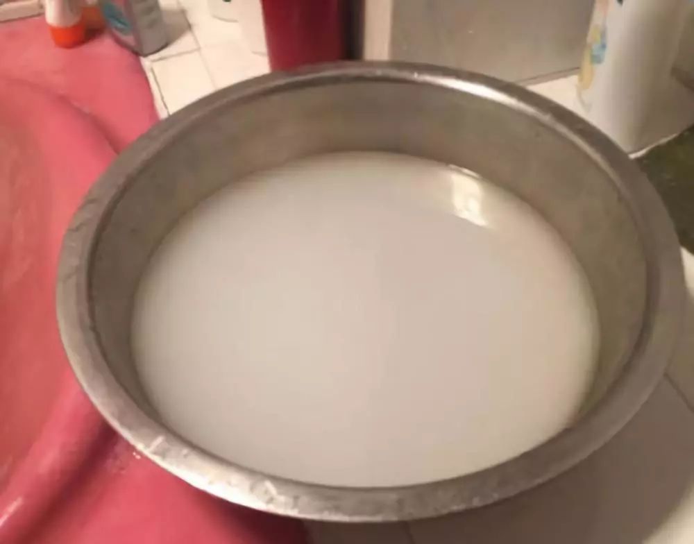 1个洋葱丢盆里,花朵砰砰开,一下能变2个头,省钱了!