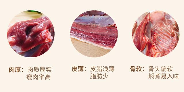 鸭肉是滋补佳品吗,鸭肉属于优质脂肪吗