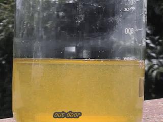 为什么你哭的时候会头疼,为啥哭太伤心会呕吐