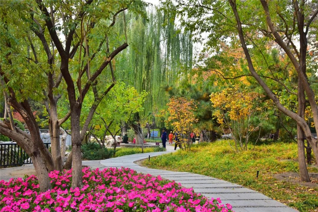 漫步西城|沿着千年时光的脉络，遇见广内~