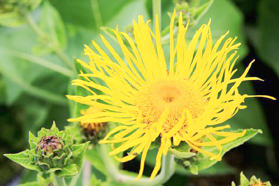 写进心坎的说说短句句句穿透人心,触及心灵的经典说说