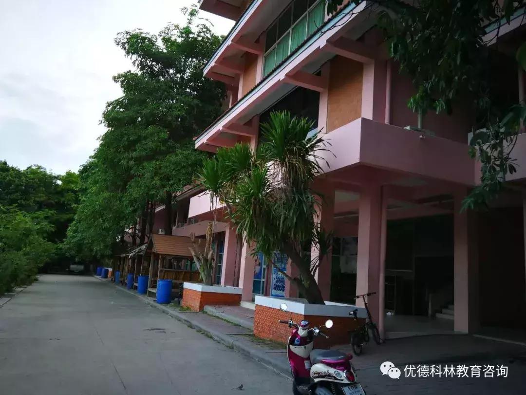 想去泰国当中文老师有什么要求,中国人如何去泰国当中文老师