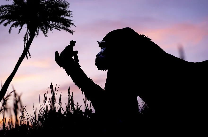 图集|这些厕所，我是不会上的