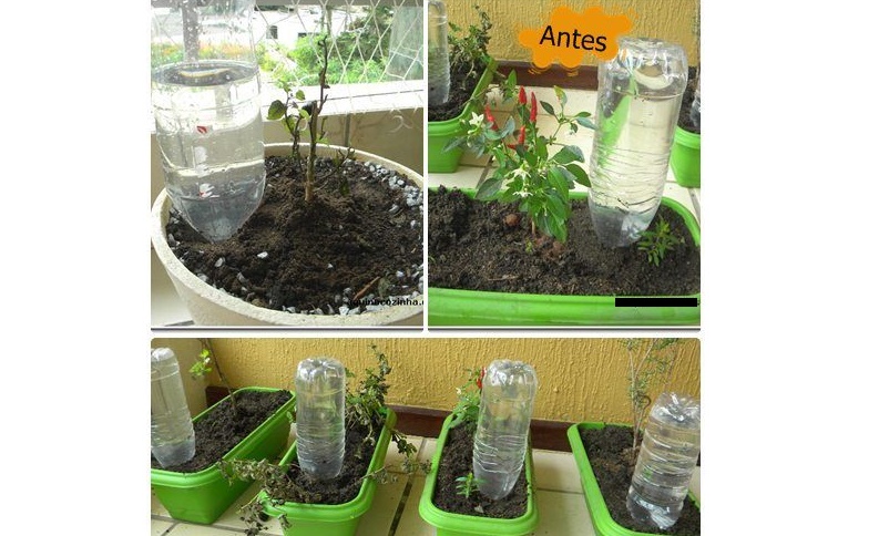 出差旅行利用什么可以自动浇花,大瓶矿泉水瓶浇花