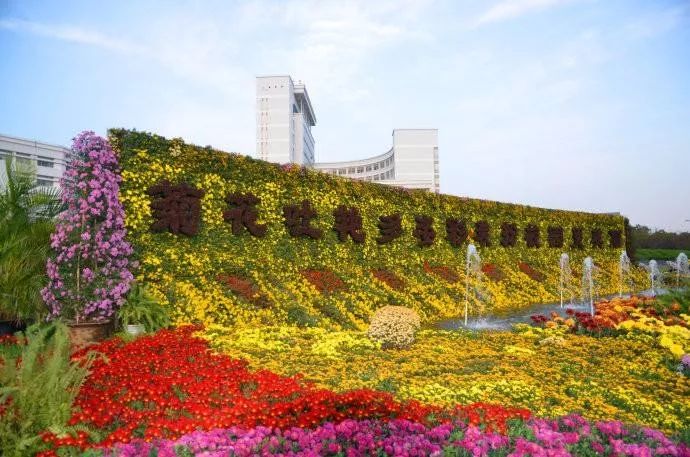 上海大学真正实力如何,上海大学被低估的专业排名