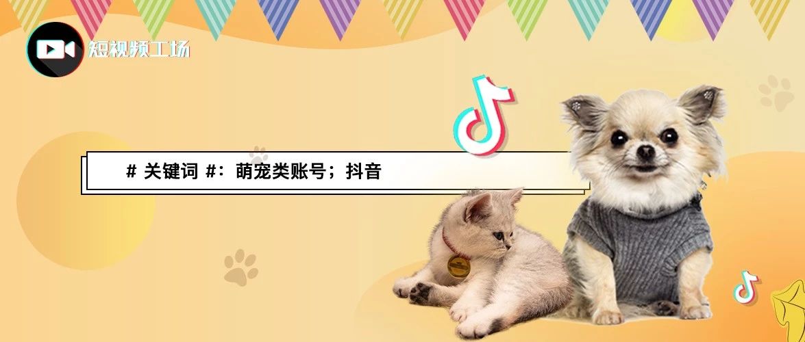 抖音里最火的主播刘二豆,会说话的刘二豆在抖音赚了多少钱