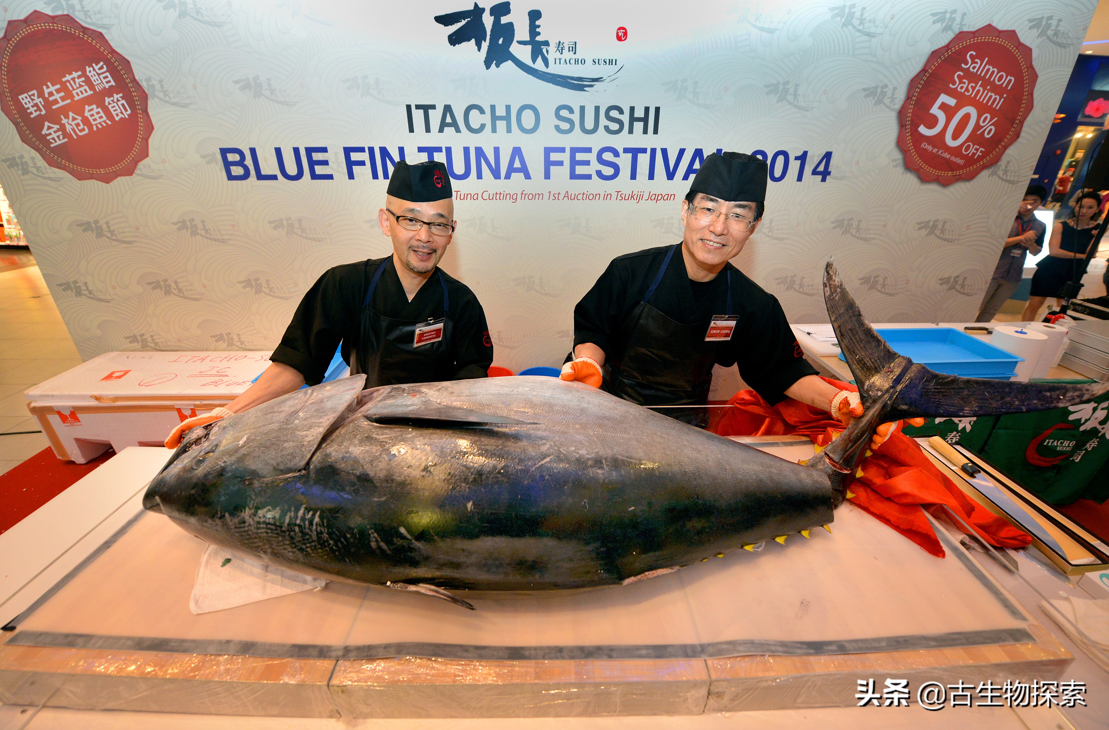 国际珍惜动物保护动物日,国际生物多样性保护日是哪一天