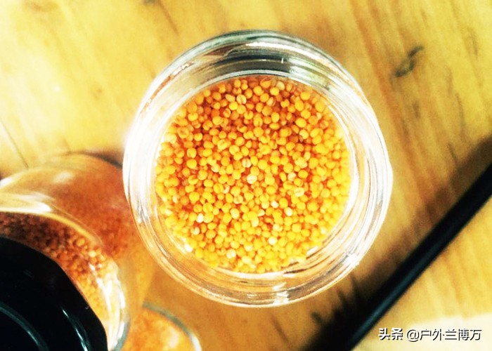 野钓心得,野钓心得分享大全