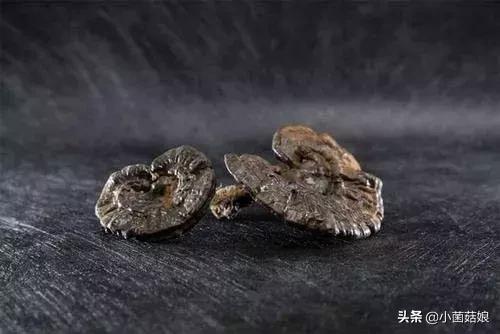 菌菇水护肤,菌菇水好评