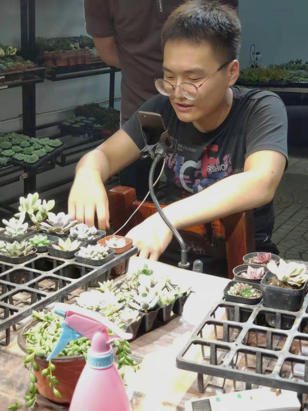 小伙卖多肉年入百万,山东小伙农村种地年入百万