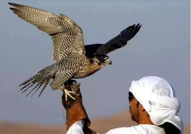 迪拜人均gdp跟中国人均gdp对比,迪拜最新人均gdp