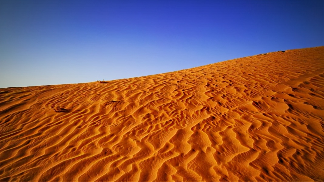 “割礼”惨无人寰的陋习,*害迫**着女性身体,震撼人心《沙漠之花》