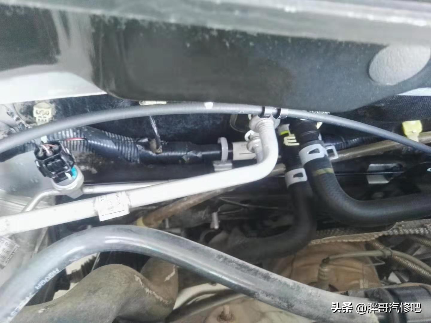 马自达3胖哥,胖哥试驾马自达3