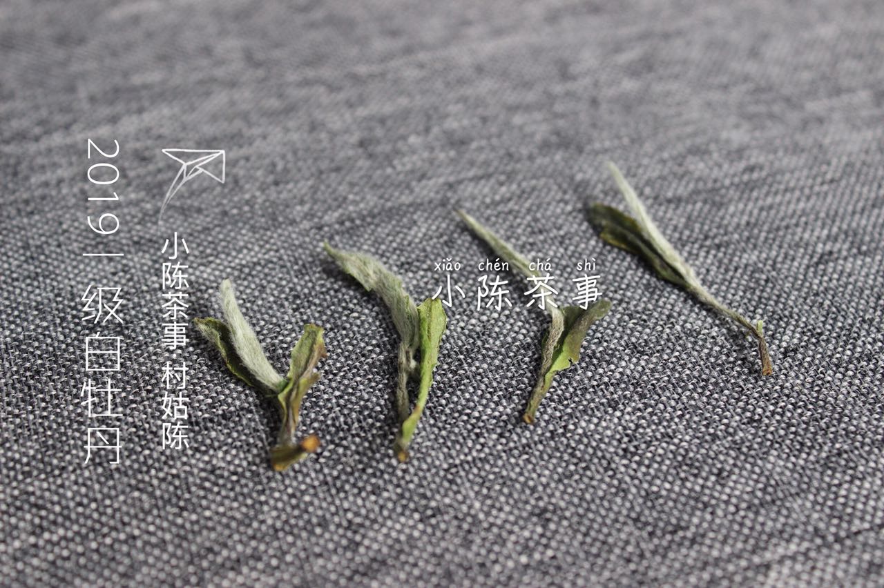 白茶这几年哪个年份品质最好,2023年的白茶品质怎么样