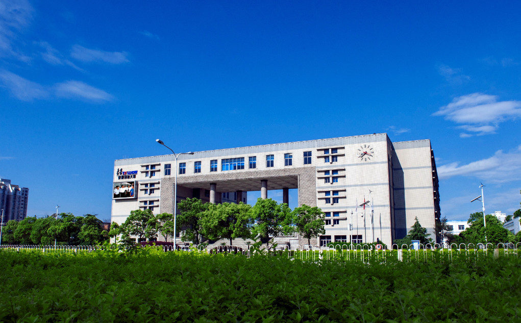 服务外包领军企业百强,中国服务外包十大龙头企业