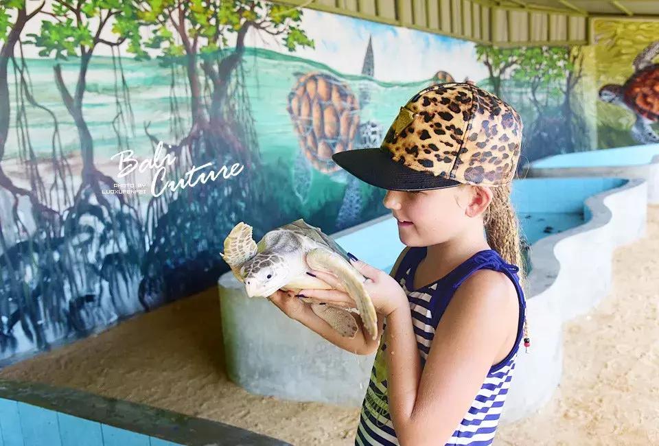 999玩转巴厘究竟嗨不嗨：香遇巴厘，南太平洋的风与海