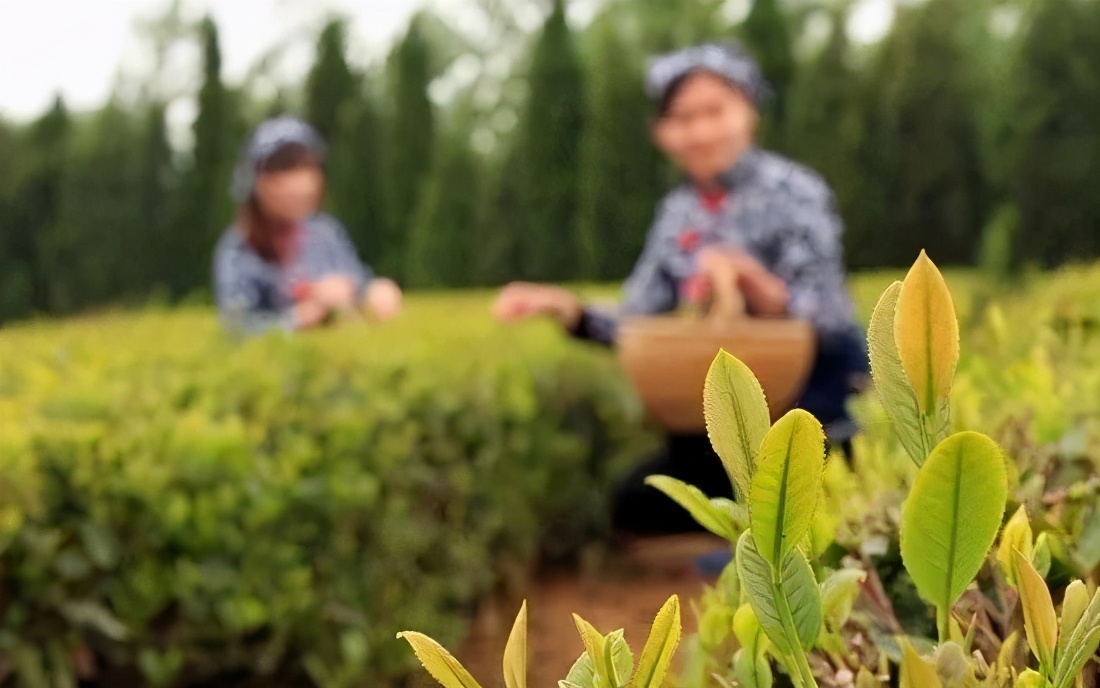 山东文化之旅攻略,山东旅游攻略冬季旅游路线