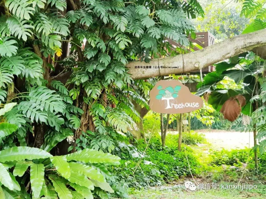 新加坡科学艺术博物馆值得去吗,新加坡必去十大科学馆