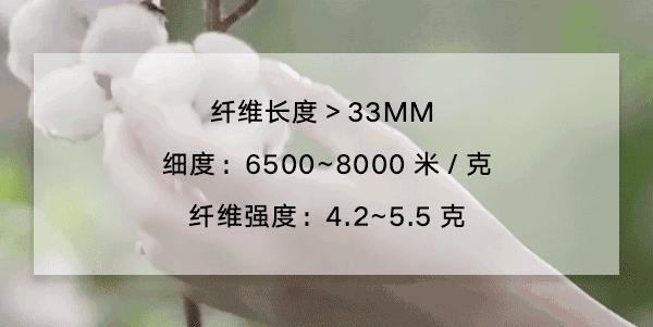 夏季t恤什么面料最好,t恤顶级工艺