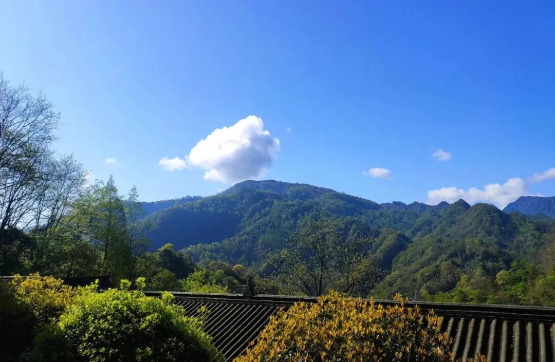 首届梦控师线下工作坊：走在梦的路上，胜过人间天堂