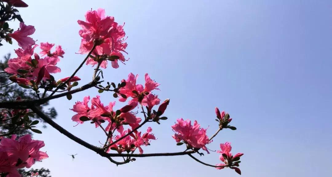 大叔拍照片怎么拍出高级感,大叔怎么拍出高级感视频