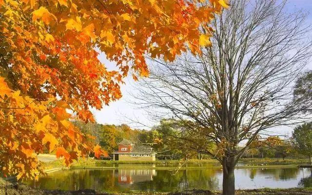 太原去哪里看秋景,太原的秋景有哪些