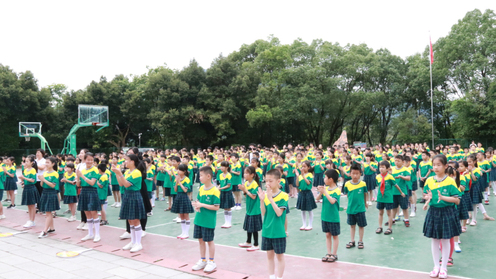 小海豚公益活动策划方案,小海豚计划直播