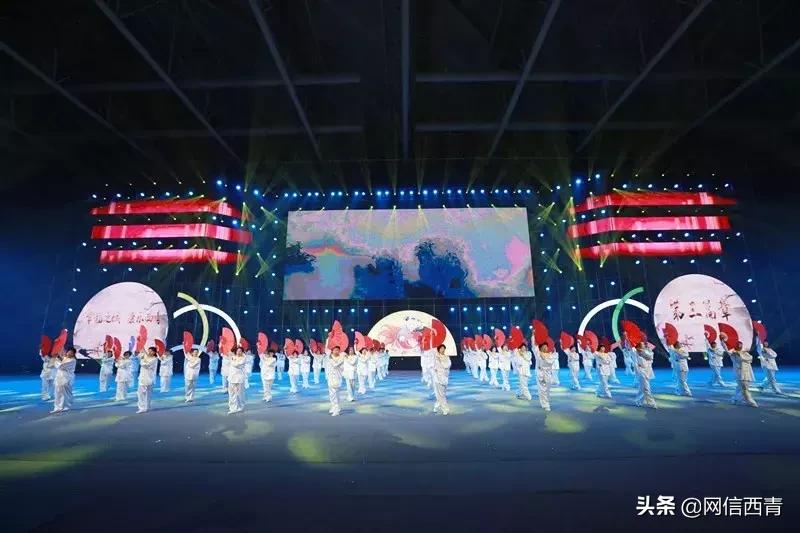 礼赞共和国七十华诞共享全民健身欢歌——西青区第七届全民健身运动会开幕式巡礼