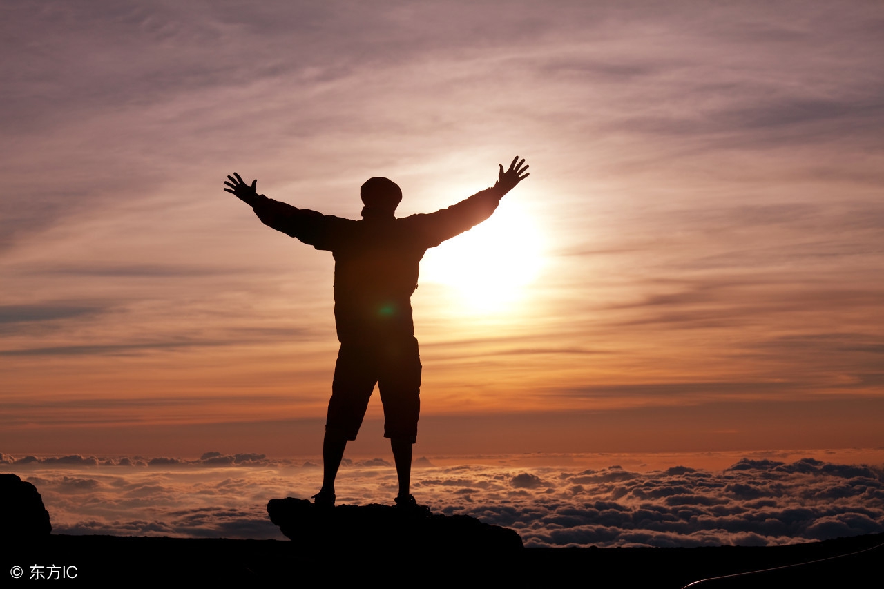 2019猪年拜年祝福语,猪年新春快乐2019新年祝福语