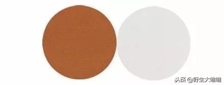 春天穿这些颜色真是美爆了,冬天穿这些颜色真的太美了