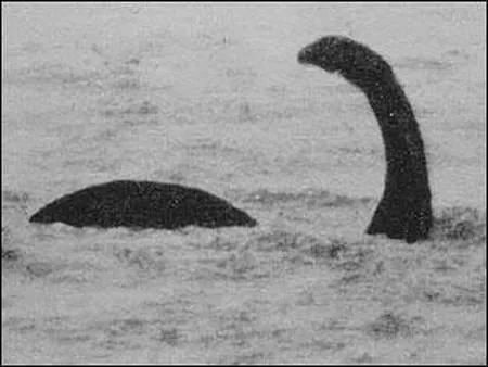 地球十大巨型未知生物,地球未知生物档案解密