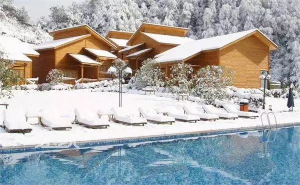 沈阳的夜景真的好美,沈阳夜景有多美