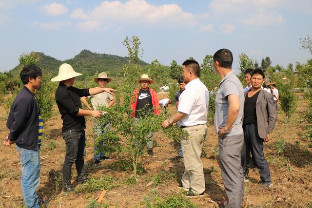 贵州省福润集团有限公司,贵州福润农资