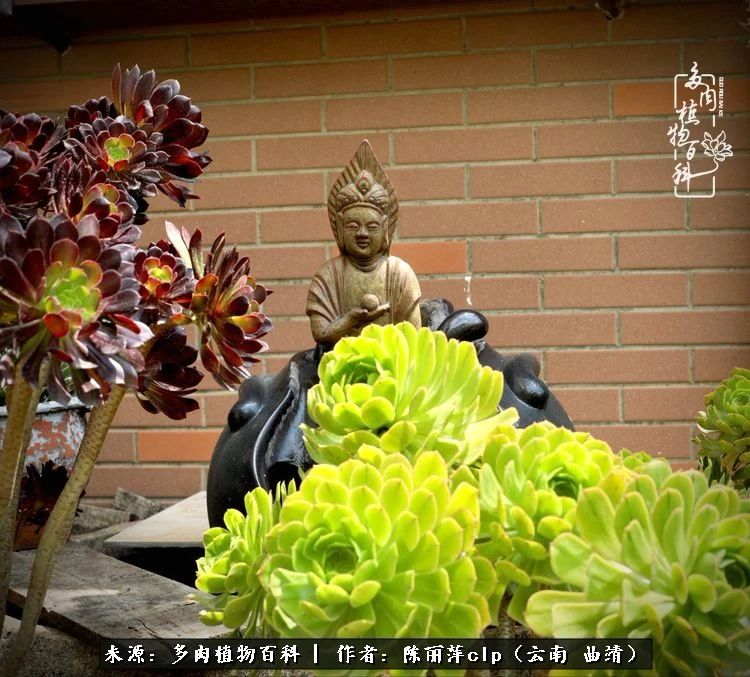 佛系看风景的地方,佛系风景空境视频