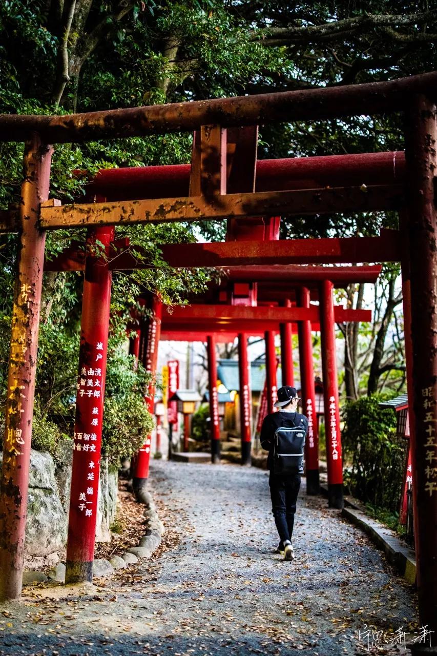 摄影初学者预算两千买什么相机,家用和旅游摄影买什么相机