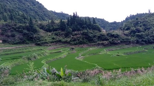 藏在深山里的宝藏,藏在大山里的财富