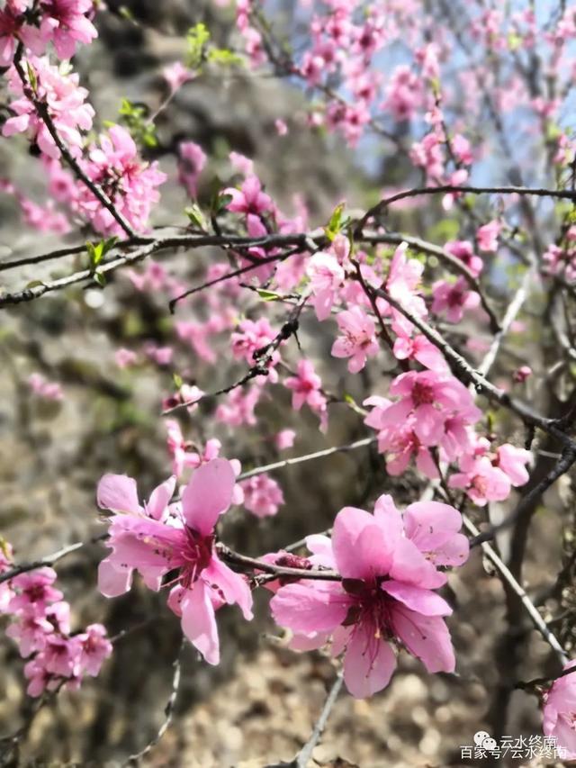西安九寨沟简介,西安十寨沟和九寨沟