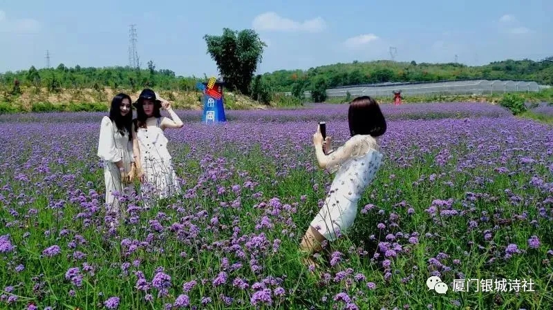 閾跺煄璇楄瘝澶у叏,閾跺煄鍙よ瘲