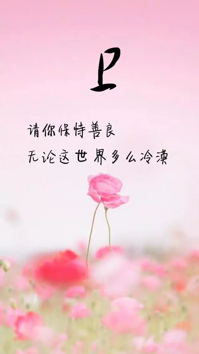 珠宝翡翠艺术字体,翡翠字体图片欣赏