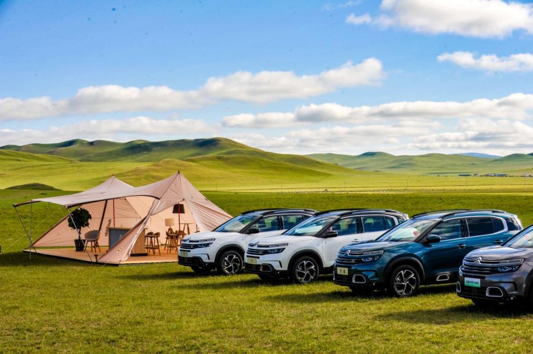 雪铁龙天逸插混四驱7座试驾,锡林郭勒草原上的骏马