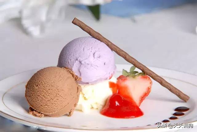 狗狗细小的原因,什么原因会导致狗狗得细小