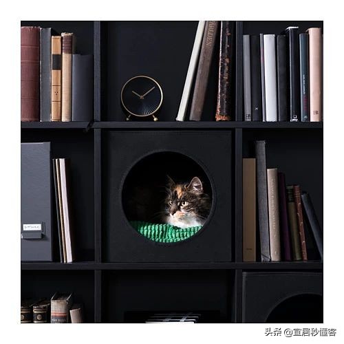 宜家最好用的宠物,宜家中可以给宠物购买的物品