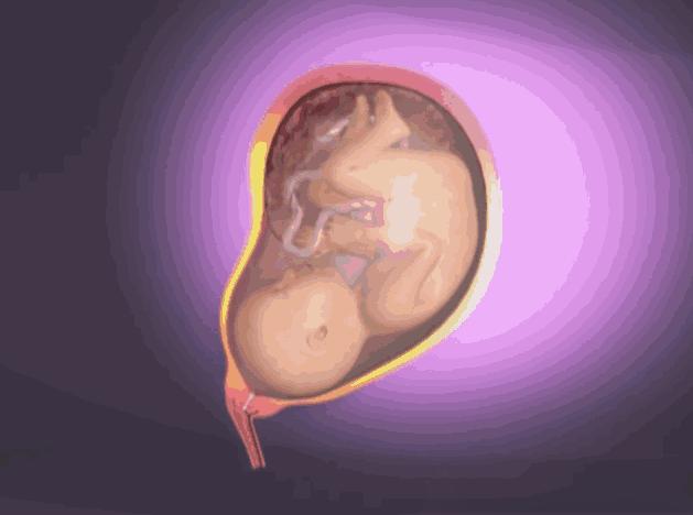 进产房最让人尴尬的四件事,进产房最尴尬的4件事