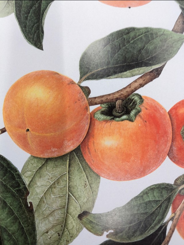 小笔记系列,小笔记是啥样的