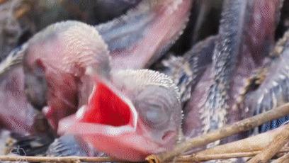 閮戝窞椋為笩瀹跺洯鍥剧墖澶у叏,閮戝窞椋為笩瀹跺洯椋庢櫙