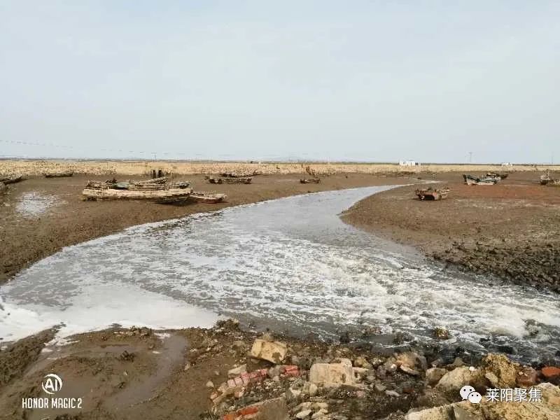 莱阳丁字湾,莱阳丁字湾最新消息